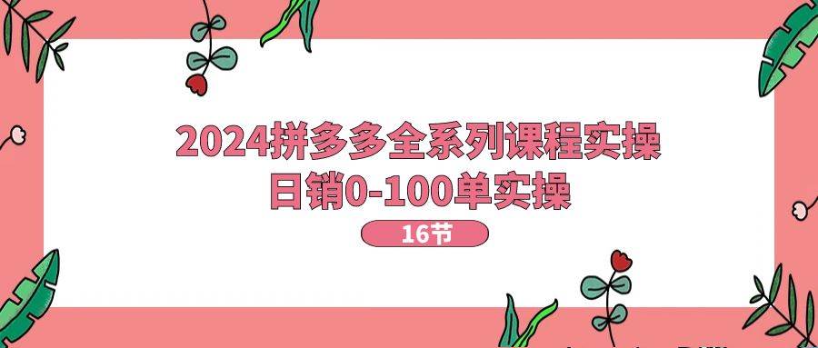 2024拼多多全系列课程实操，日销0-100单实操【16节课】-上品源码网