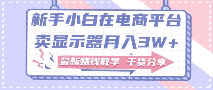 新手小白如何做到在电商平台卖显示器月入3W+，最新赚钱教学干货分享-上品源码网