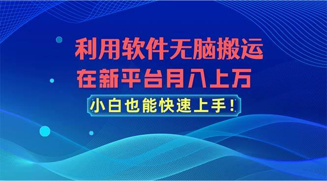 利用软件无脑搬运，在新平台月入上万，小白也能快速上手-上品源码网