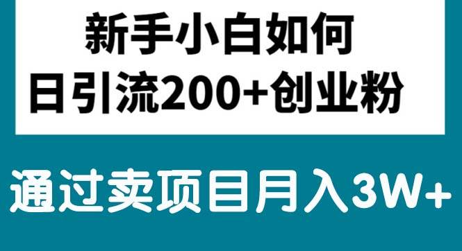 新手小白日引流200+创业粉,通过卖项目月入3W+-上品源码网