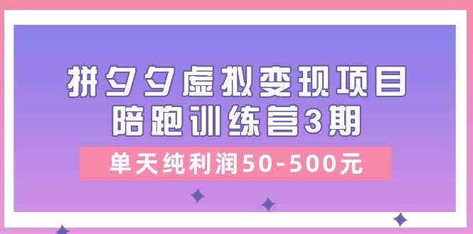 某收费培训《拼夕夕虚拟变现项目陪跑训练营3期》单天纯利润50-500元-上品源码网