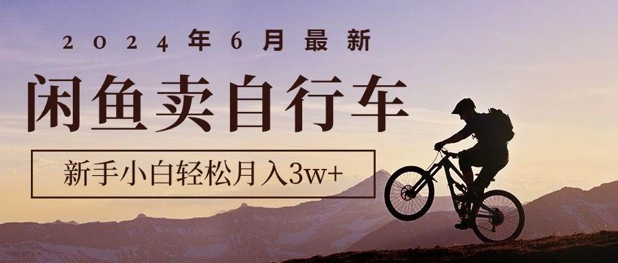 2024年6月最新闲鱼卖自行车，新手小白轻松月入3w+项目-上品源码网