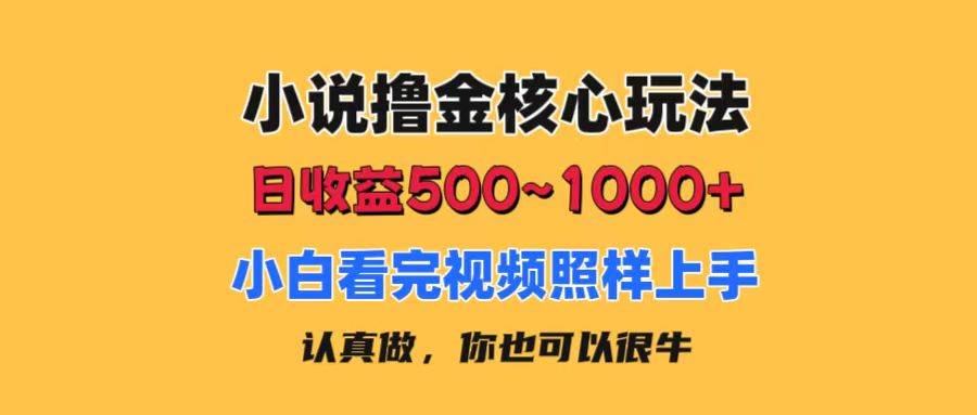 小说撸金核心玩法，日收益500-1000+，小白看完照样上手，0成本有手就行-上品源码网