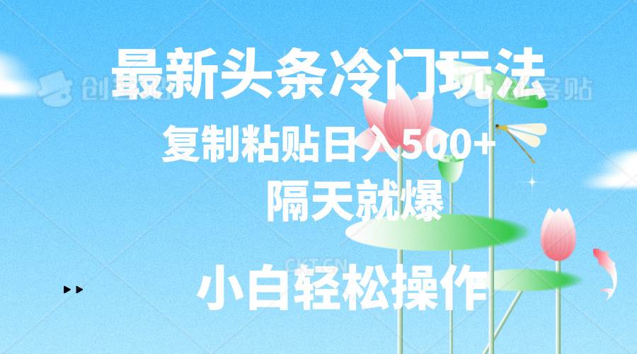 最新头条冷门玩法，隔天就爆，复制粘贴日入500+-上品源码网