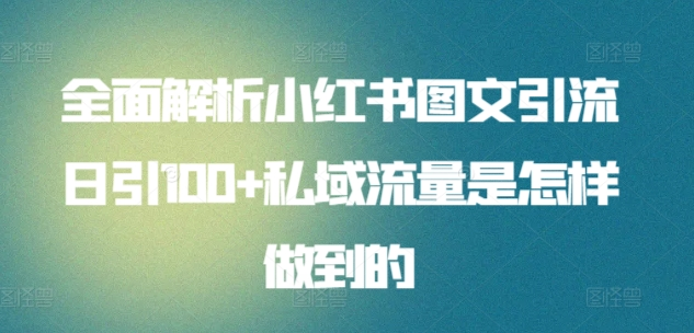 全面解析小红书图文引流日引100私域流量是怎样做到的-上品源码网