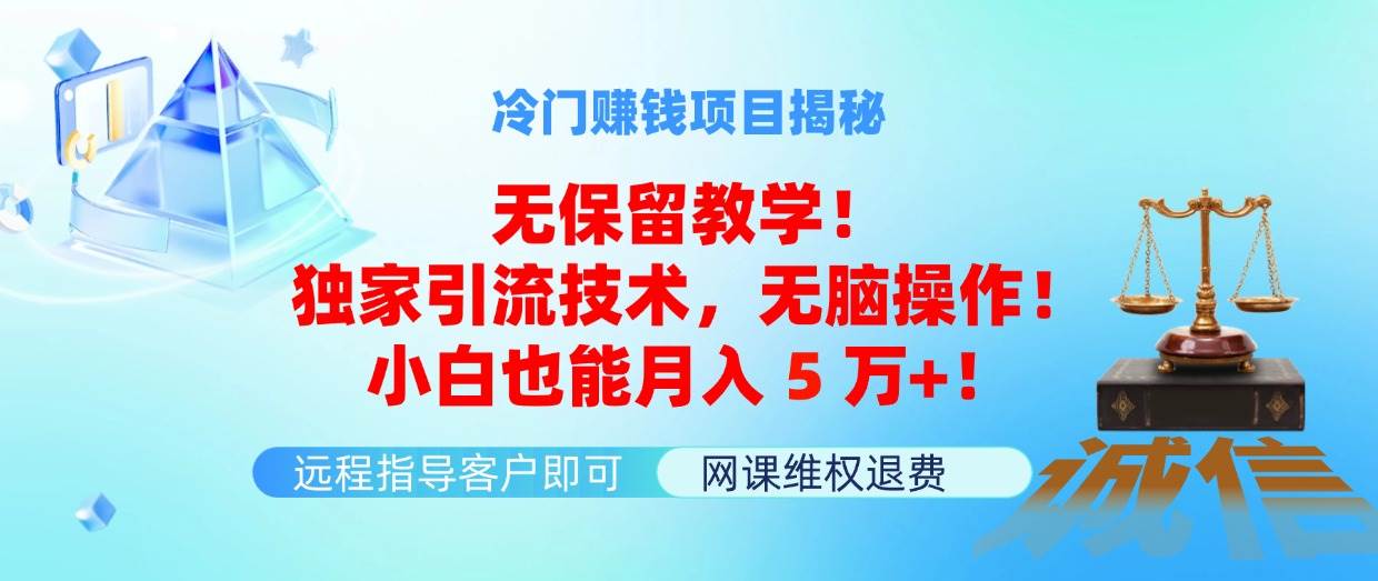 冷门赚钱项目无保留教学！独家引流技术，无脑操作！小白也能月入5万+！-上品源码网