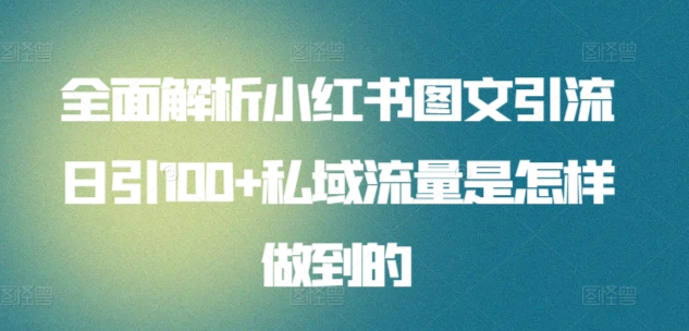 日引流100私域流量小红书图文是怎样做到的全面解析-上品源码网