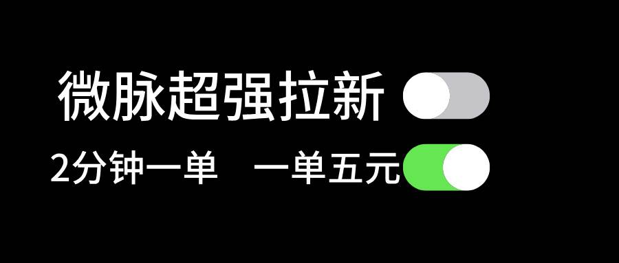 微脉超强拉新， 两分钟1单， 一单利润5块，适合小白-上品源码网