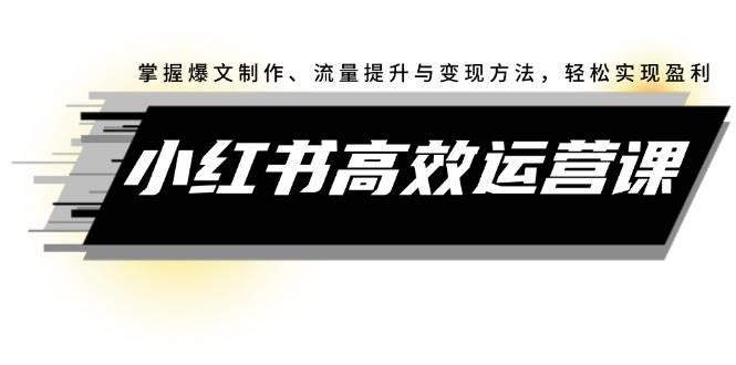 小红书高效运营课：掌握爆文制作、流量提升与变现方法，轻松实现盈利-上品源码网