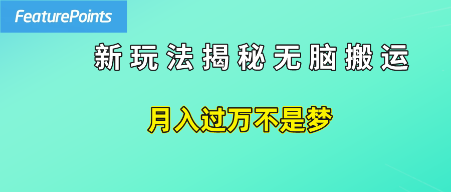 简单操作，每天50美元收入，搬运就是赚钱的秘诀！-上品源码网