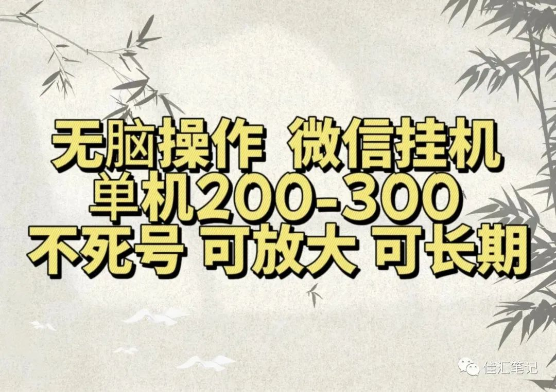 无脑操作微信视频号挂机单机200-300一天，不死号，可放大，工作室实测-上品源码网