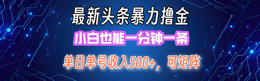 最新头条撸金，小白也能一分钟一条-上品源码网