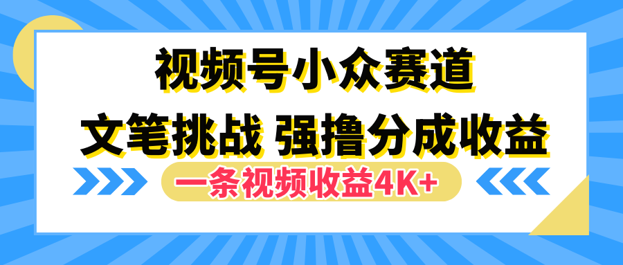 视频号小众赛道，文笔挑战，一条视频收益4K+-上品源码网