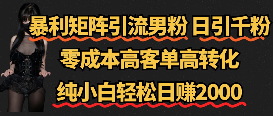 暴利矩阵引流男粉（日引千粉），零成本高客单高转化，纯小白轻松日赚2000+-上品源码网