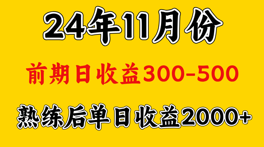 轻资产项目，前期日收益500左右，后期日收益1500-2000左右，多劳多得-上品源码网