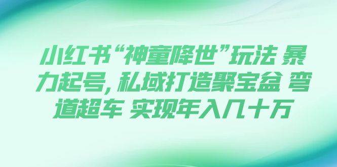 小红书“神童降世”玩法 暴力起号,私域打造聚宝盆 弯道超车 实现年入几十万-上品源码网